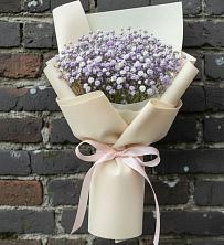 Букет цветов из:  Гипсофила в Бесстрашной