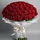 Букет 101 Красная роза Блэк Мэджик в Бесстрашной