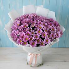 Букет цветов из:  Хризантемы в Бесстрашной