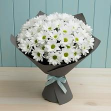 Букет цветов из:  Хризантемы в Бесстрашной
