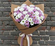 Букет цветов из:  Хризантемы в Бесстрашной