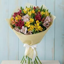Букет цветов из:  Альстромерии #REPLACE_PRED# Бесстрашной
