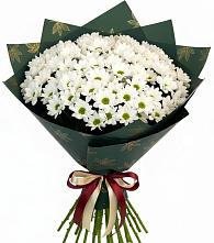 Букет цветов из:  Хризантемы в Бесстрашной
