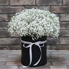 Цветочная композиция из Гипсофила в шляпной коробке в Бесстрашной