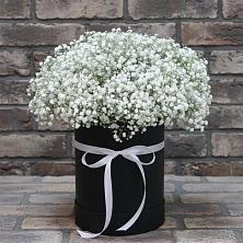 Цветочная композиция из Гипсофила в шляпной коробке в Бесстрашной