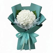 Букет цветов из:  Гортензия в Бесстрашной